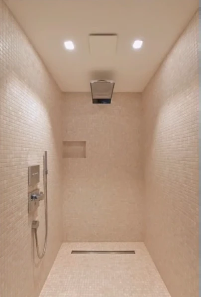 Linear drain and rain shower head in a mosaic-tile walk-in shower